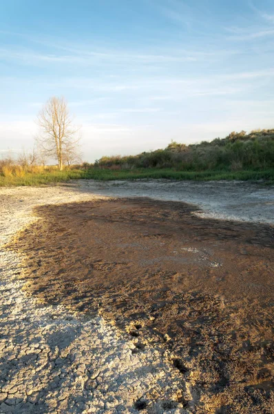 Bozkır tuzlu topraklar. tuz tuz tuz. Bozkır çayır veldt veld. Tuzlu toprak çöl, tuzlu Göller. cansız yanıp kavrulmuş dünyamız. Kazakistan çıplak bozkır