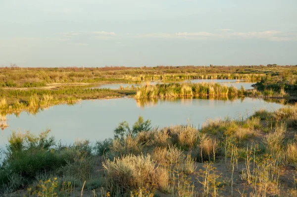 Güzel gökyüzü altında küçük bir göl. akşam olay yerinde bozkır, yatay, bozkır güzel yaz gün bataklıkta gölde. Göl sahnesinde yaz