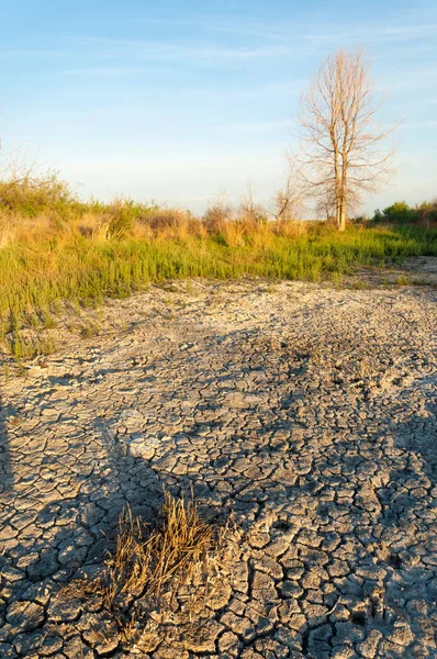 Bozkır tuzlu topraklar. tuz tuz tuz. Bozkır çayır veldt veld. Tuzlu toprak çöl, tuzlu Göller. cansız yanıp kavrulmuş dünyamız. Kazakistan çıplak bozkır