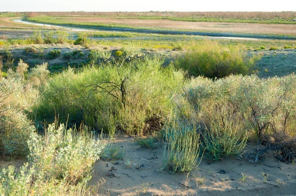 Güzel gökyüzü altında küçük bir göl. akşam olay yerinde bozkır, yatay, bozkır güzel yaz gün bataklıkta gölde. Göl sahnesinde yaz