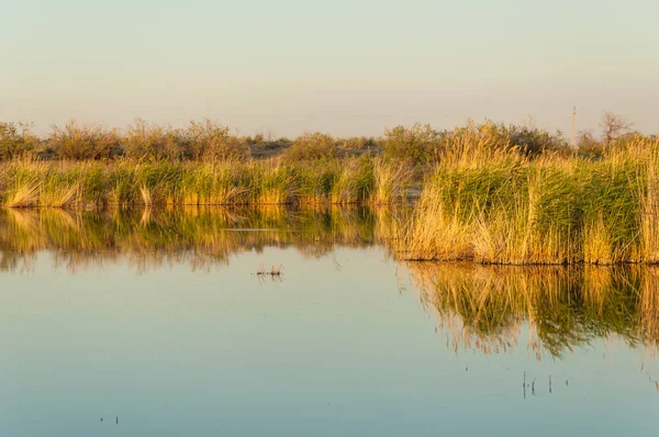 Güzel gökyüzü altında küçük bir göl. akşam olay yerinde bozkır, yatay, bozkır güzel yaz gün bataklıkta gölde. Göl sahnesinde yaz