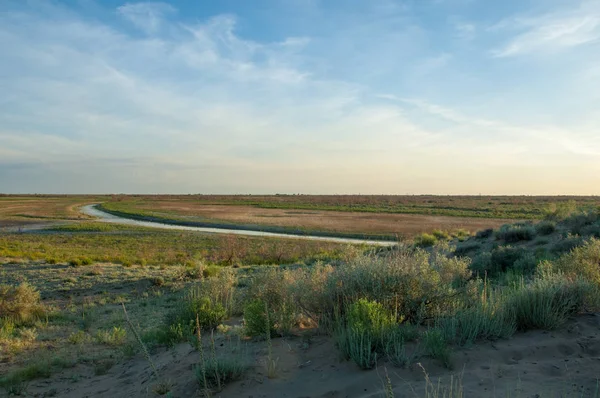 Güzel gökyüzü altında küçük bir göl. akşam olay yerinde bozkır, yatay, bozkır güzel yaz gün bataklıkta gölde. Göl sahnesinde yaz