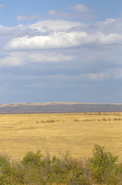 Steppe Est Sans Bois Pauvre Humidité Généralement Plate Avec Une — Photo