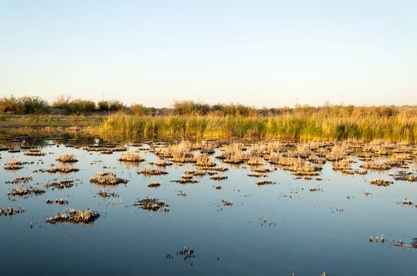 Malé Jezero Pod Pěknou Oblohou Večerní Scény Jezeře Stepi Krajina — Stock fotografie