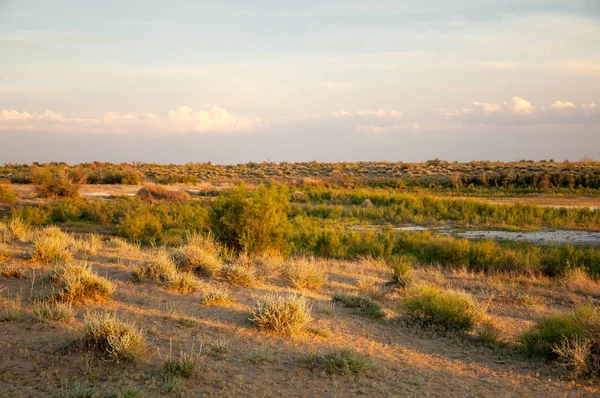 Güzel gökyüzü altında küçük bir göl. akşam olay yerinde bozkır, yatay, bozkır güzel yaz gün bataklıkta gölde. Göl sahnesinde yaz