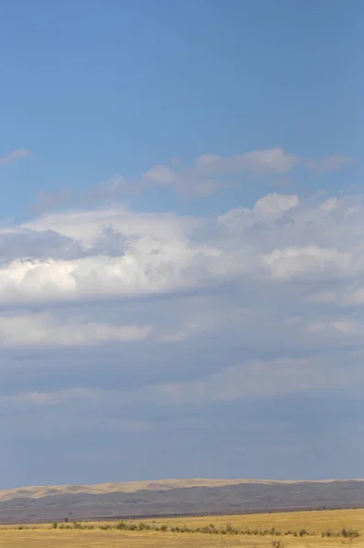 Steppe Est Sans Bois Pauvre Humidité Généralement Plate Avec Une — Photo