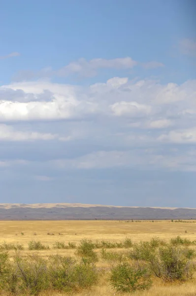 Steppe Woodless Poor Moisture Usually Flat Grassy Vegetation Dry Climate — Stock Photo, Image