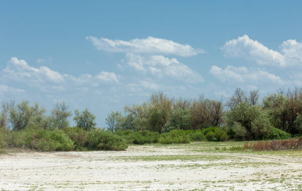 Steppe saline soils. saline  salt  in salt.  steppe  prairie  veldt veld. Saline soils of the desert, salt lakes,.  lifeless scorched earth. bare steppe of Kazakhstan