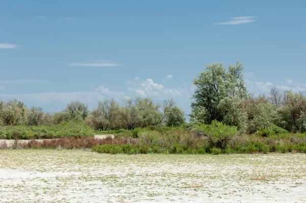 Bozkır tuzlu topraklar. tuz tuz tuz. Bozkır çayır veldt veld. Tuzlu toprak çöl, tuzlu Göller. cansız yanıp kavrulmuş dünyamız. Kazakistan çıplak bozkır