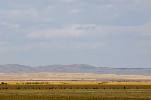 Степь Безлесная Влажная Правило Плоская Травянистой Растительностью Сухой Климатической Зоне — стоковое фото