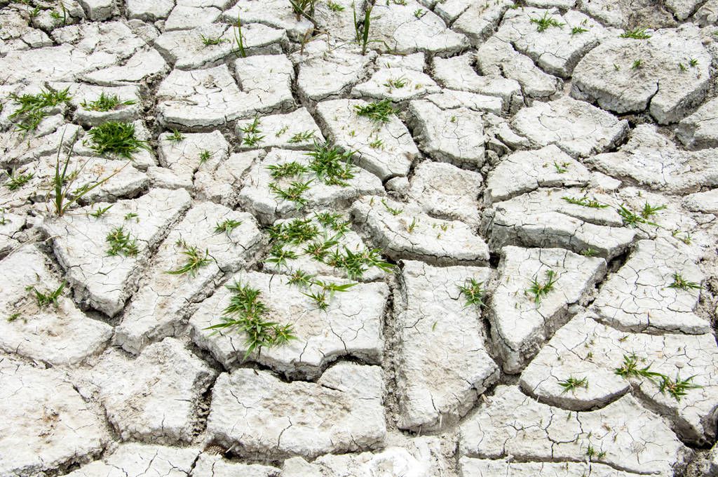 Cracks in the ground. drought. soil erosion, cracked texture. Dry cracked ground. 