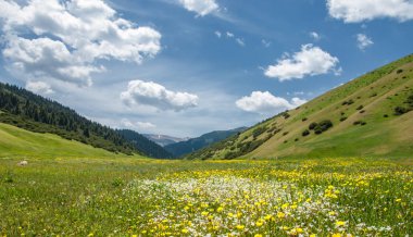dağ, dağ, tepe. Kazakistan. Tien Shan. Takma Yaylası