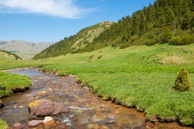dağ, dağ, tepe. Kazakistan. Tien Shan. Takma Yaylası