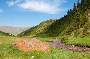 dağ, dağ, tepe. Kazakistan. Tien Shan. Takma Yaylası