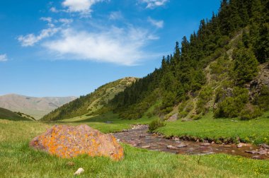 dağ, dağ, tepe. Kazakistan. Tien Shan. Takma Yaylası