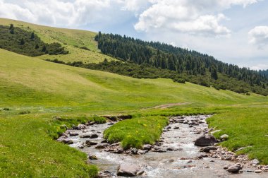 dağ, dağ, tepe. Kazakistan. Tien Shan. Takma Yaylası
