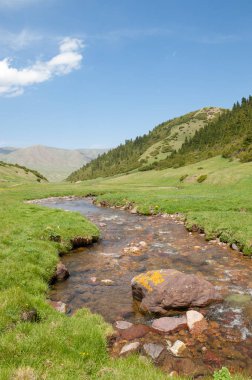dağ, dağ, tepe. Kazakistan. Tien Shan. Takma Yaylası