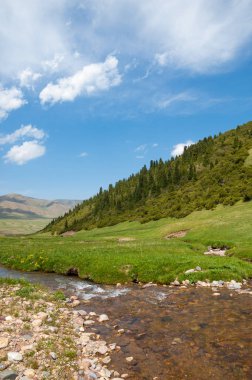 dağ, dağ, tepe. Kazakistan. Tien Shan. Takma Yaylası