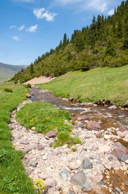 dağ, dağ, tepe. Kazakistan. Tien Shan. Takma Yaylası