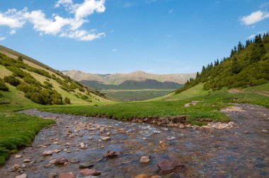 dağ, dağ, tepe. Kazakistan. Tien Shan. Takma Yaylası
