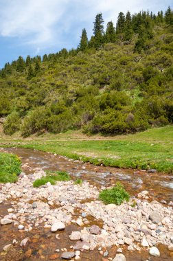 dağ, dağ, tepe. Kazakistan. Tien Shan. Takma Yaylası