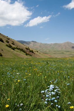 dağ, dağ, tepe. Kazakistan. Tien Shan. Takma Yaylası