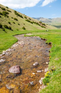 dağ, dağ, tepe. Kazakistan. Tien Shan. Takma Yaylası