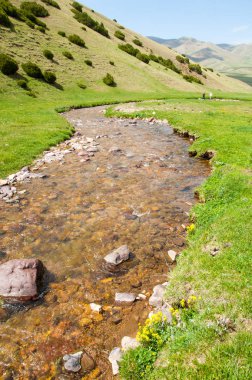 dağ, dağ, tepe. Kazakistan. Tien Shan. Takma Yaylası