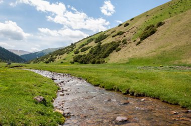 dağ, dağ, tepe. Kazakistan. Tien Shan. Takma Yaylası