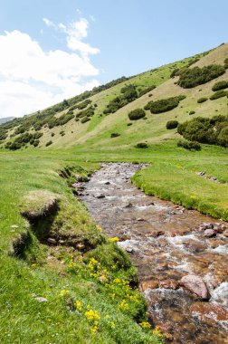 dağ, dağ, tepe. Kazakistan. Tien Shan. Takma Yaylası