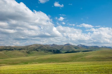 dağ, dağ, tepe. Kazakistan. Tien Shan. Takma Yaylası