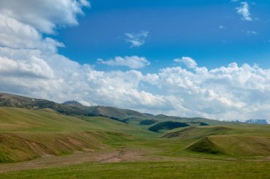 dağ, dağ, tepe. Kazakistan. Tien Shan. Takma Yaylası