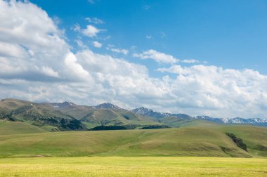 dağ, dağ, tepe. Kazakistan. Tien Shan. Takma Yaylası