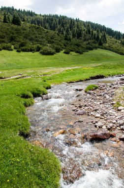 dağ, dağ, tepe. Kazakistan. Tien Shan. Takma Yaylası