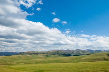 dağ, dağ, tepe. Kazakistan. Tien Shan. Takma Yaylası
