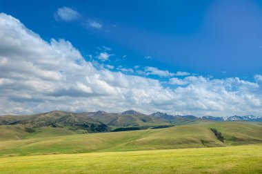 dağ, dağ, tepe. Kazakistan. Tien Shan. Takma Yaylası