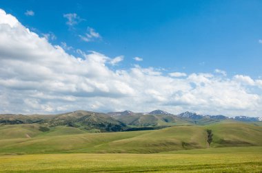 dağ, dağ, tepe. Kazakistan. Tien Shan. Takma Yaylası