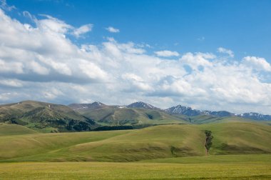 dağ, dağ, tepe. Kazakistan. Tien Shan. Takma Yaylası