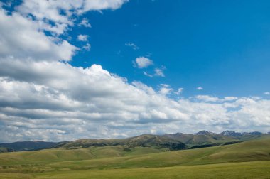 dağ, dağ, tepe. Kazakistan. Tien Shan. Takma Yaylası