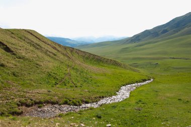 İğde. iğde veya iğde, cinsidir tür çiçekli bitki Elaeagnaceae aile hakkında.
