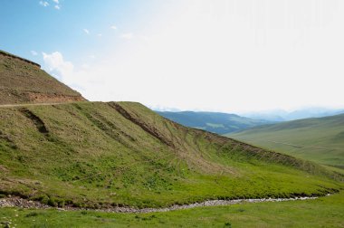 İğde. iğde veya iğde, cinsidir tür çiçekli bitki Elaeagnaceae aile hakkında.