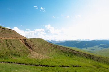 İğde. iğde veya iğde, cinsidir tür çiçekli bitki Elaeagnaceae aile hakkında.