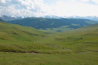 İğde. iğde veya iğde, cinsidir tür çiçekli bitki Elaeagnaceae aile hakkında.