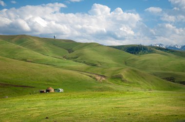 İğde. iğde veya iğde, cinsidir tür çiçekli bitki Elaeagnaceae aile hakkında.