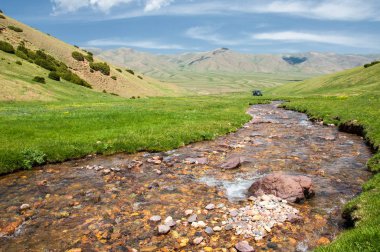 İğde. iğde veya iğde, cinsidir tür çiçekli bitki Elaeagnaceae aile hakkında.