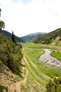 İğde. iğde veya iğde, cinsidir tür çiçekli bitki Elaeagnaceae aile hakkında.