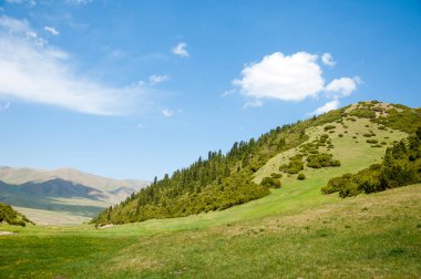 dağ, dağ, tepe. Kazakistan. Tien Shan. Takma Yaylası