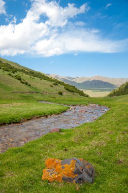 dağ, dağ, tepe. Kazakistan. Tien Shan. Takma Yaylası