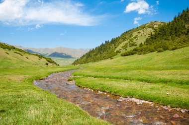 dağ, dağ, tepe. Kazakistan. Tien Shan. Takma Yaylası