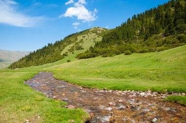dağ, dağ, tepe. Kazakistan. Tien Shan. Takma Yaylası